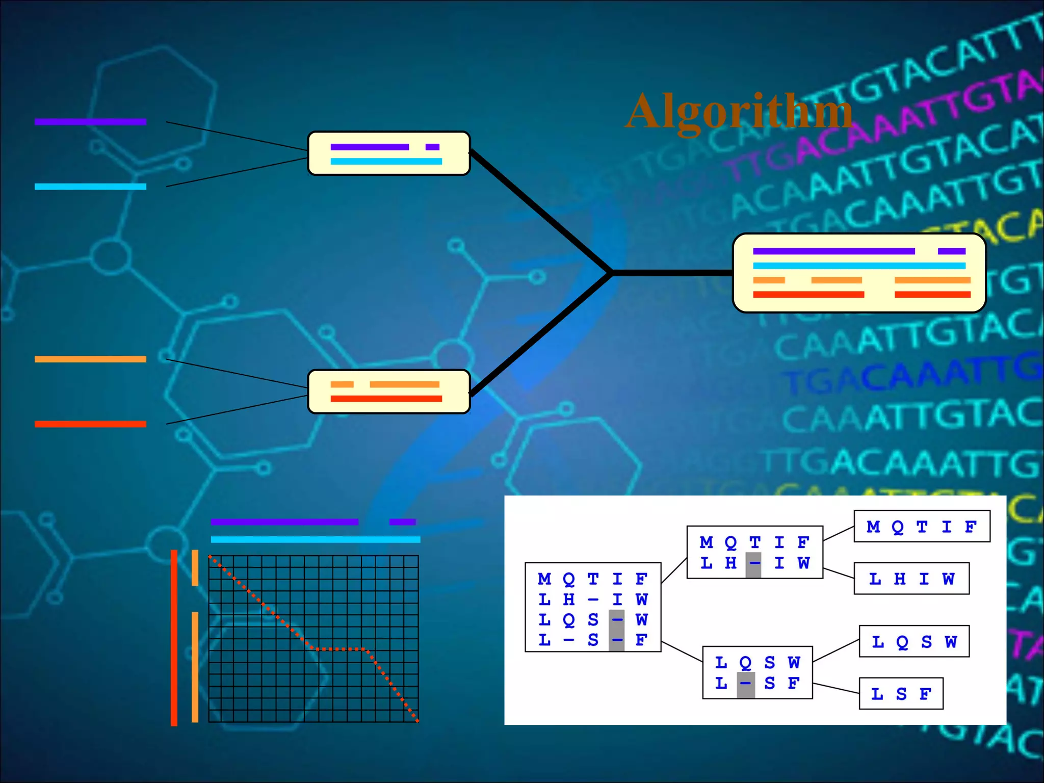 Algorithm
 