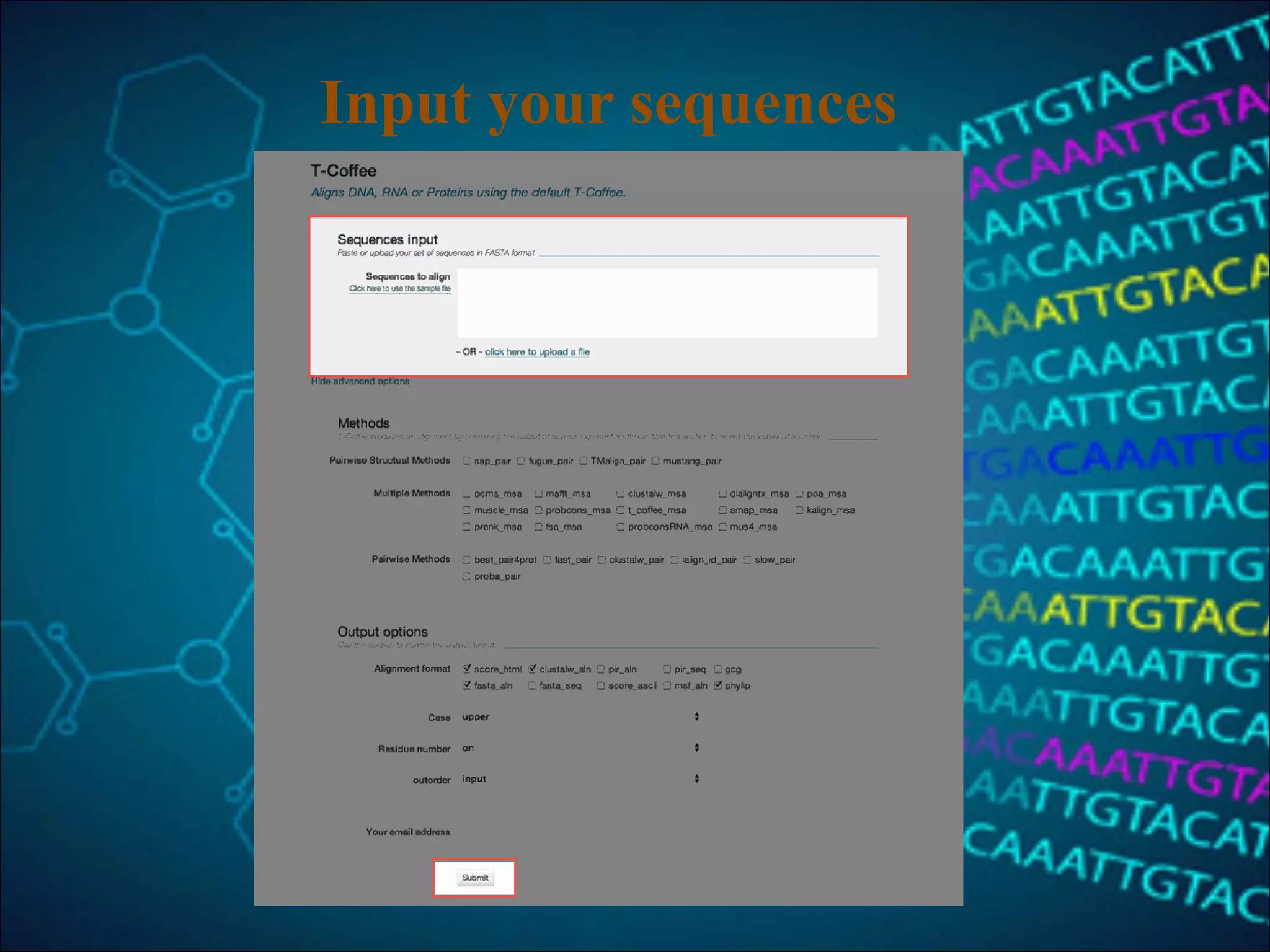 Input your sequences
 