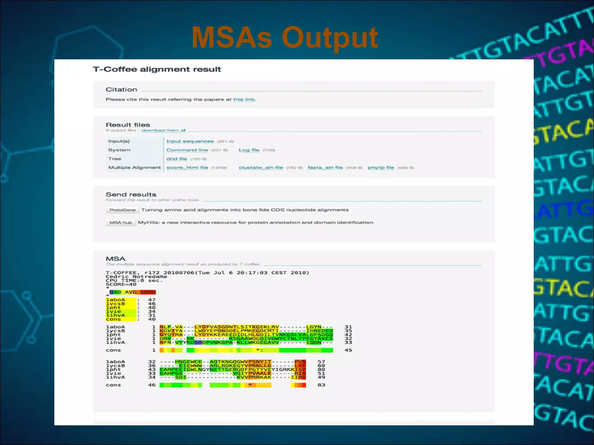 MSAs Output
 