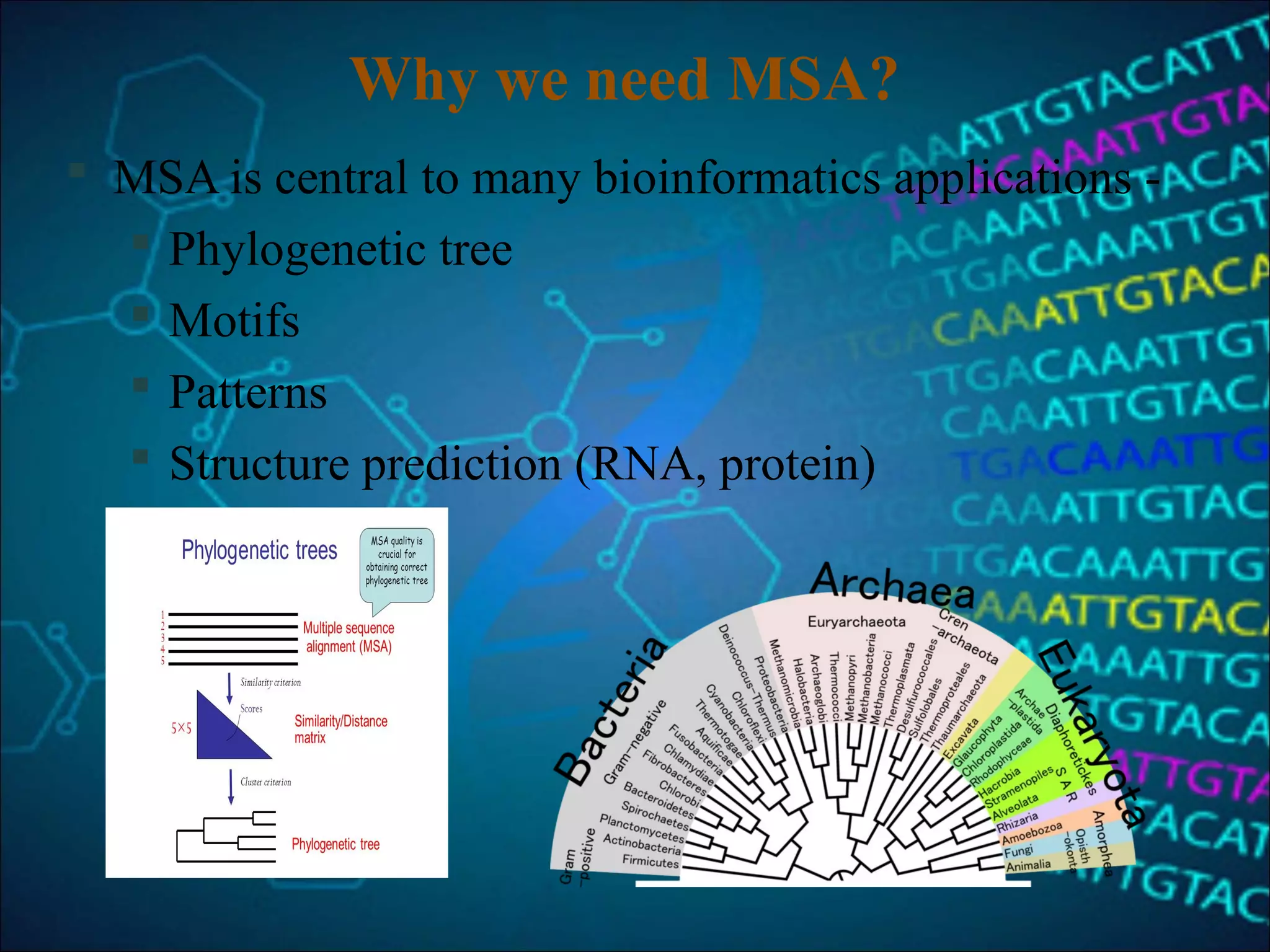 Why we need MSA?
 MSA is central to many bioinformatics applications -
 Phylogenetic tree
 Motifs
 Patterns
 Structure prediction (RNA, protein)
 