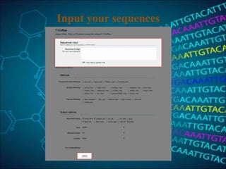 Input your sequences
 