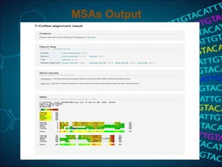 MSAs Output
 