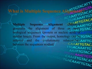 What is Multiple Sequence Alignment?
 Multiple Sequence Alignment (MSA) is 
generally  the  alignment  of  three  or  more 
biological  sequences  (protein  or  nucleic  acid)  of 
similar length. From the output, homology can be 
inferred  and  the  evolutionary  relationships 
between the sequences studied.
 