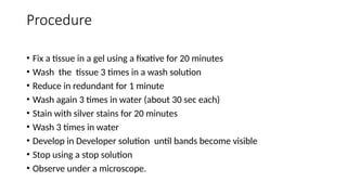 Procedure
• Fix a tissue in a gel using a fixative for 20 minutes
• Wash the tissue 3 times in a wash solution
• Reduce in redundant for 1 minute
• Wash again 3 times in water (about 30 sec each)
• Stain with silver stains for 20 minutes
• Wash 3 times in water
• Develop in Developer solution until bands become visible
• Stop using a stop solution
• Observe under a microscope.
 