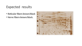 Expected results
• Reticular fibers-brown/black
• Nerve fibers-brown/black.
 