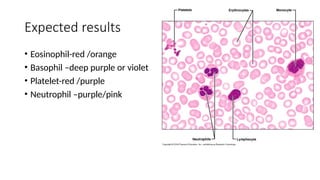Expected results
• Eosinophil-red /orange
• Basophil –deep purple or violet
• Platelet-red /purple
• Neutrophil –purple/pink
 