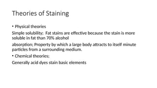 Theories of Staining
• Physical theories
Simple solubility; Fat stains are effective because the stain is more
soluble in fat than 70% alcohol
absorption; Property by which a large body attracts to itself minute
particles from a surrounding medium.
• Chemical theories;
Generally acid dyes stain basic elements
 