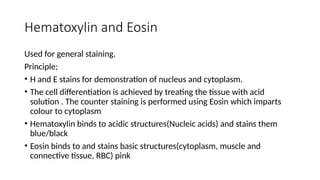 Hematoxylin and Eosin
Used for general staining.
Principle;
• H and E stains for demonstration of nucleus and cytoplasm.
• The cell differentiation is achieved by treating the tissue with acid
solution . The counter staining is performed using Eosin which imparts
colour to cytoplasm
• Hematoxylin binds to acidic structures(Nucleic acids) and stains them
blue/black
• Eosin binds to and stains basic structures(cytoplasm, muscle and
connective tissue, RBC) pink
 