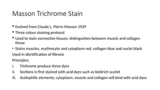 Masson Trichrome Stain
 Evolved from Claude L. Pierre Masson 1929
 Three colour staining protocol
 Used to stain connective tissues: distinguishes between muscle and collagen
tissue
• Stains muscles, erythrocyte and cytoplasm red, collagen blue and nuclei black
Used in identification of fibrosis
Principles;
i. Trichrome produce three dyes
ii. Sections is first stained with acid dyes such as biebrich scarlet
iii. Acidophilic elements; cytoplasm, muscle and collagen will bind with acid dyes
 