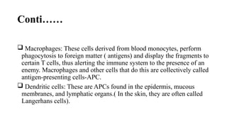 Comprehensive Overview of Lymphadenopathy: Causes, Anatomy, and ...