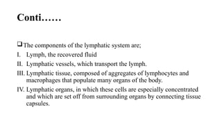Comprehensive Overview of Lymphadenopathy: Causes, Anatomy, and ...