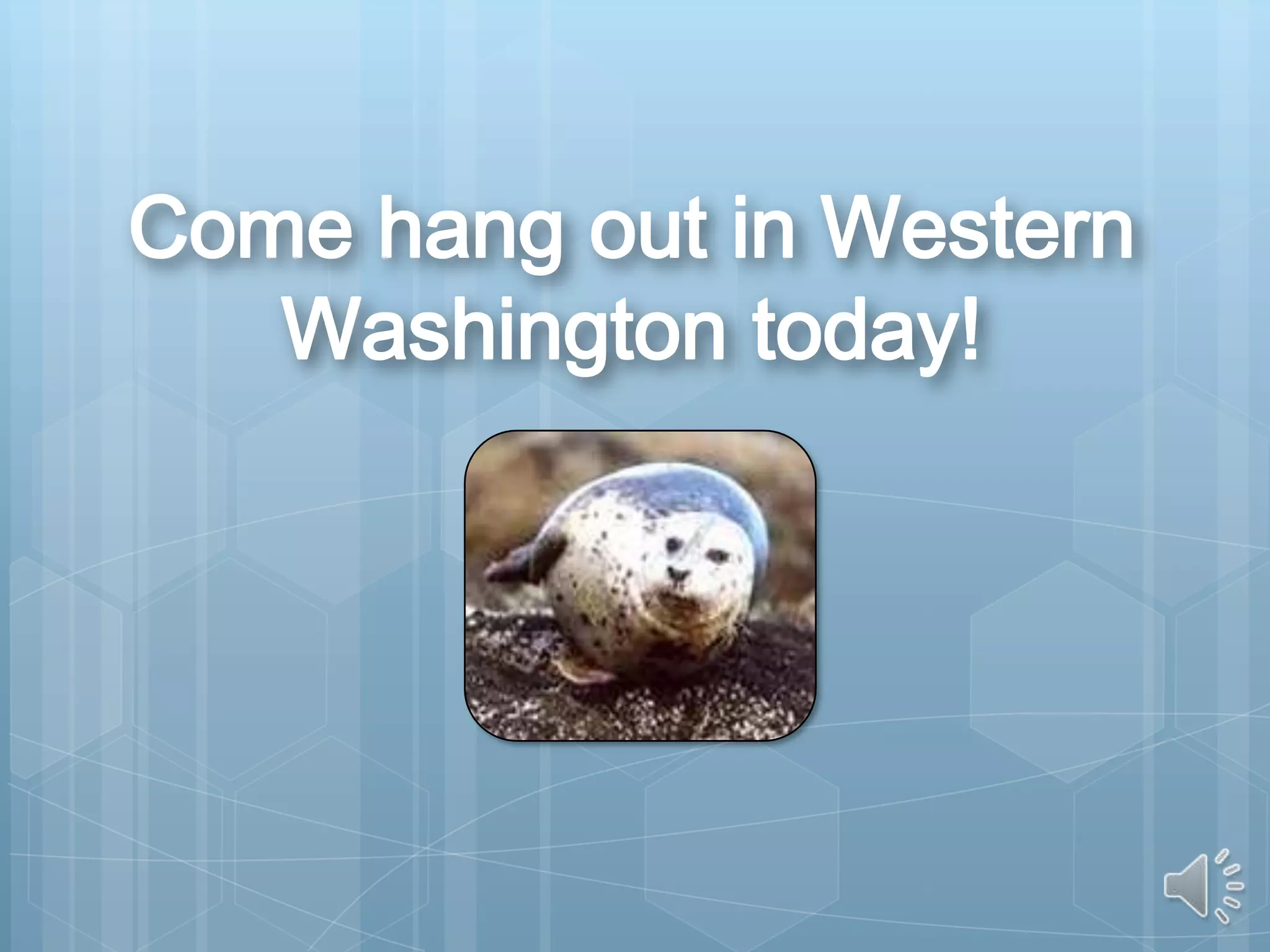 Hotels  Seattle Waterfront 