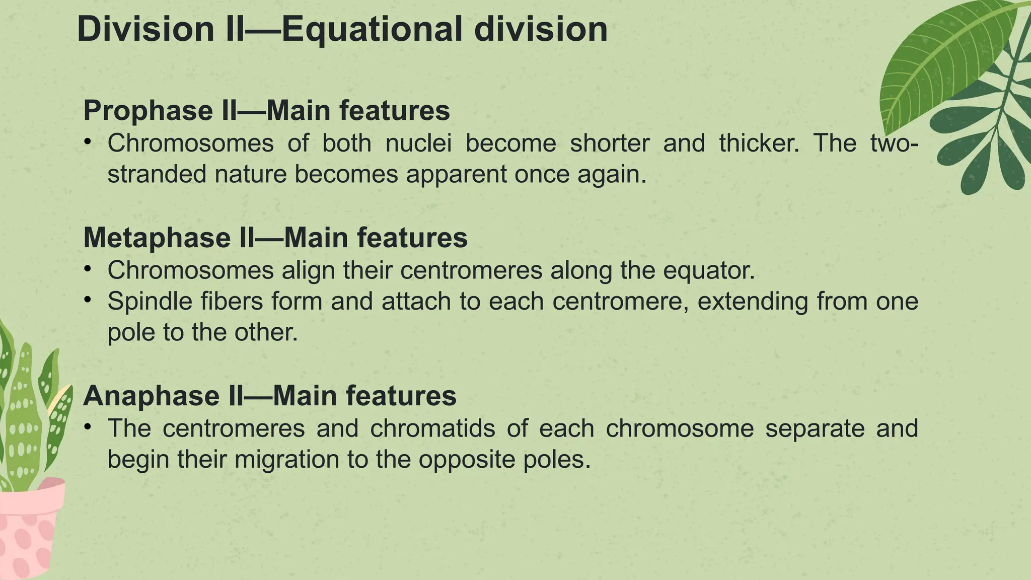 Botany - meiosis and alternation of generation.pptx