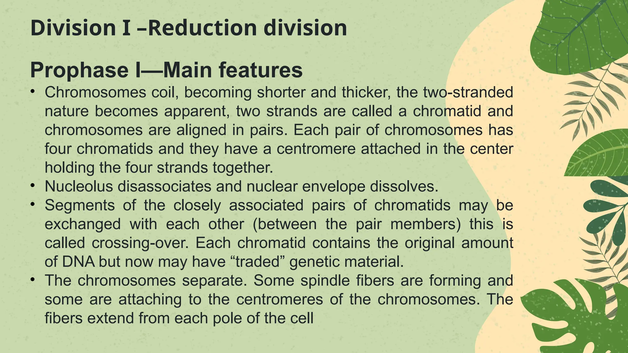 Botany - meiosis and alternation of generation.pptx