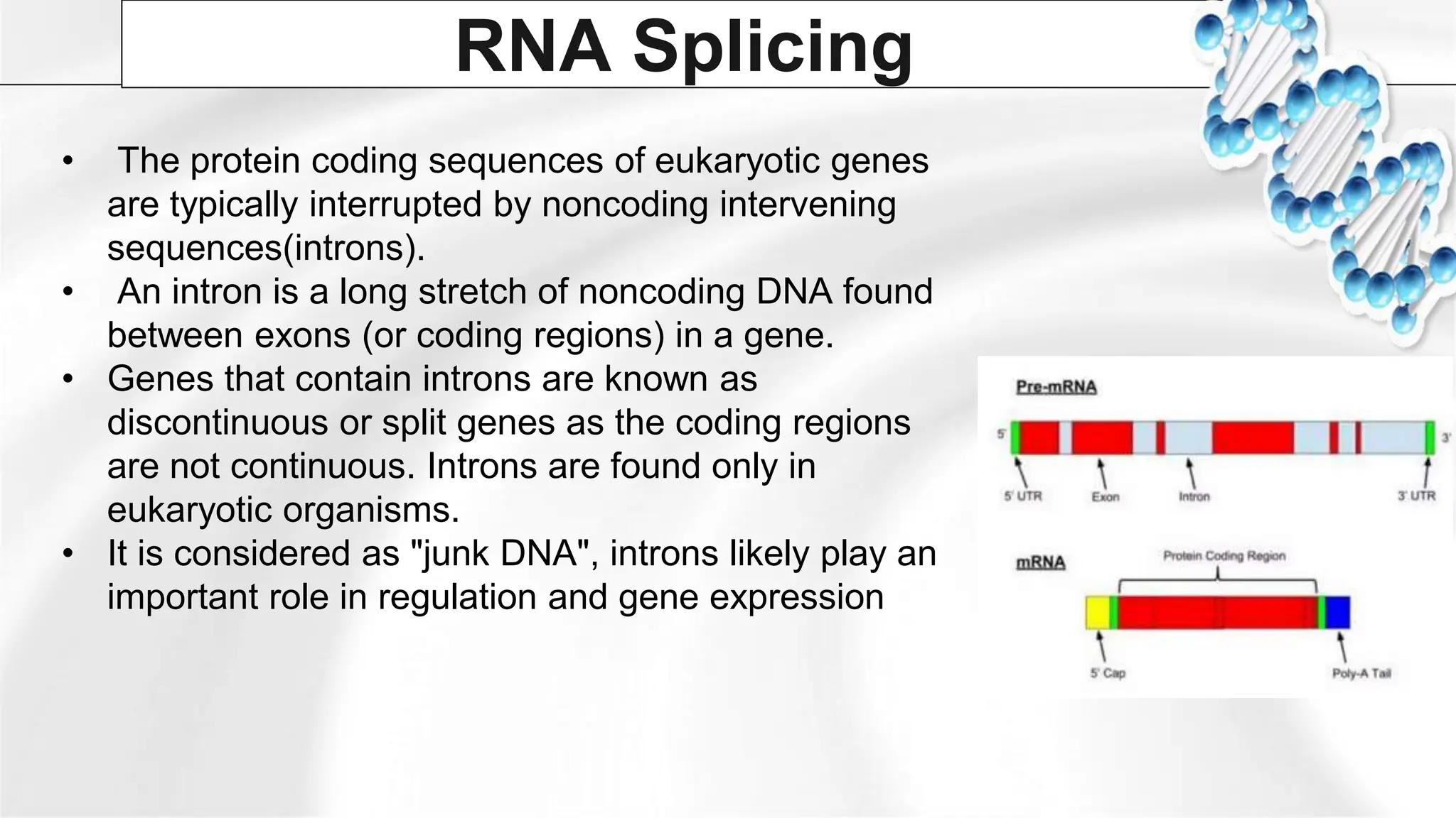 Group 6 - Post Transcriptional Modifications (RNA Splicng and ...