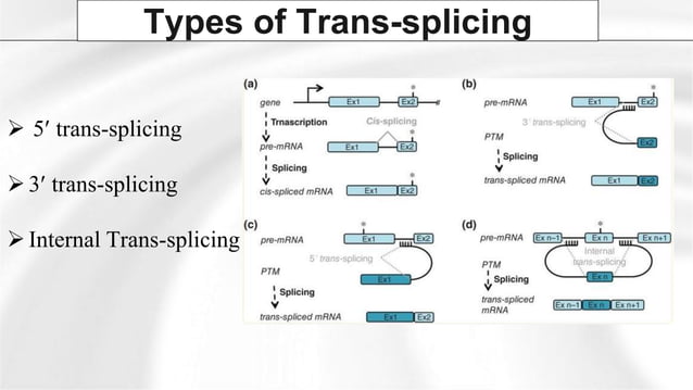 Group 6 - Post Transcriptional Modifications (RNA Splicng and ...