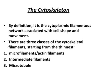 The Cytoskeleton
• By definition, it is the cytoplasmic filamentous
network associated with cell shape and
movement.
• There are three classes of the cytoskeletal
filaments, starting from the thinnest:
1. microfilaments/actin filaments
2. Intermediate filaments
3. Microtubule
 