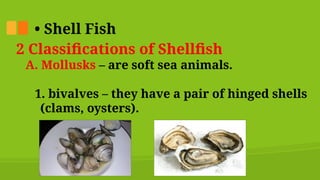 Clams Classification Kitchen Essentials and Basic Food Preparation | PPTX