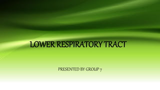 LOWER RESPIRATORY TRACT
PRESENTED BY GROUP 7
 
