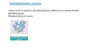 Pre-phosphorylation
protein
Amino acid of a protein is phosphorylated by addition of covalently bonded
phosphate group
Phosphorylation of casein.
 