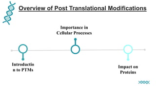 Overview of Post Translational Modifications
Introductio
n to PTMs
Importance in
Cellular Processes
Impact on
Proteins
 