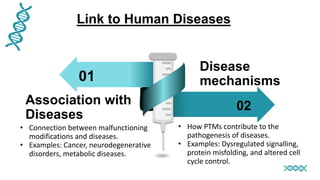 01
02
Association with
Diseases
Disease
mechanisms
Link to Human Diseases
• Connection between malfunctioning
modifications and diseases.
• Examples: Cancer, neurodegenerative
disorders, metabolic diseases.
• How PTMs contribute to the
pathogenesis of diseases.
• Examples: Dysregulated signalling,
protein misfolding, and altered cell
cycle control.
 