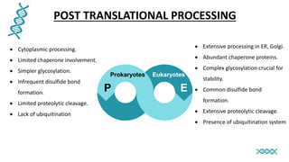 POST TRANSLATIONAL PROCESSING
 Cytoplasmic processing.
 Limited chaperone involvement.
 Simpler glycosylation.
 Infrequent disulfide bond
formation.
 Limited proteolytic cleavage.
 Lack of ubiquitination
E
Eukaryotes
Prokaryotes
P
 Extensive processing in ER, Golgi.
 Abundant chaperone proteins.
 Complex glycosylation crucial for
stability.
 Common disulfide bond
formation.
 Extensive proteolytic cleavage.
 Presence of ubiquitination system
 