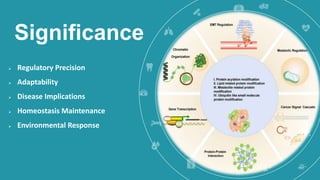 Significance
 Regulatory Precision
 Adaptability
 Disease Implications
 Homeostasis Maintenance
 Environmental Response
 