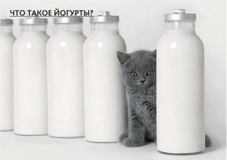ГРУППА 7 ВИЗКОМ 13—15
ЧТО ТАКОЕ ЙОГУРТЫ?
 