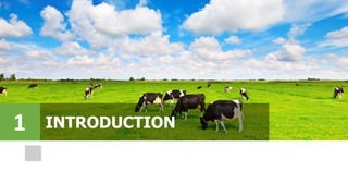 INTRODUCTION1
 