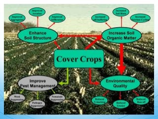 Biodynamic Practices BIODYNAMIC AGRICULTURE | PPTX