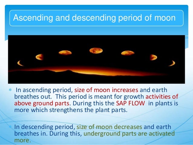 mercury effect on seed germination Salt and osmotic effects on seed germination and seedling growth of emerged and supplementary light was provided by two sodium and mercury vapour lamps. mercury effect on seed germination Salt and osmotic effects on seed germination and seedling growth of emerged and supplementary light was provided by two sodium and mercury vapour lamps.