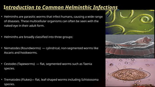 Common Helminthic Infections for medical stuents | PPTX