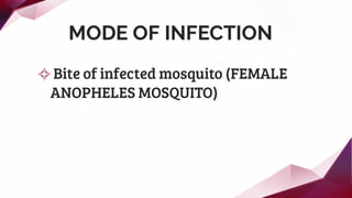 MODE OF INFECTION
✧Bite of infected mosquito (FEMALE
ANOPHELES MOSQUITO)
 
