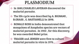 ✧ In 1880,CHARLES LAVERAN discovered the
malarial parasite.
✧ The life cycle was described by A. BIGNAMI ,
B.GRASS , G. BASTIANELLI in 1898.
✧ RONALD ROSS in India demonstrated that
mosquitoes of Anopheles species are vectors of
malarial parasites . In 1902 , for this discovery
he was awarded Nobel prize.
✧ TRAGER and JENSEN were first to culture
malarial parasite in vitro in 1976 .
PLASMODIUM
 