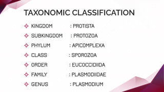 TAXONOMIC CLASSIFICATION
✧ KINGDOM : PROTISTA
✧ SUBKINGDOM : PROTOZOA
✧ PHYLUM : APICOMPLEXA
✧ CLASS : SPOROZOA
✧ ORDER : EUCOCCIDIIDA
✧ FAMILY : PLASMODIIDAE
✧ GENUS : PLASMODIUM
 