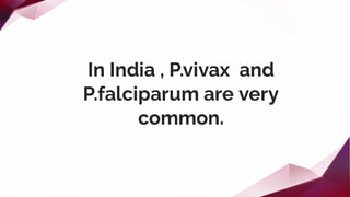 In India , P.vivax and
P.falciparum are very
common.
 