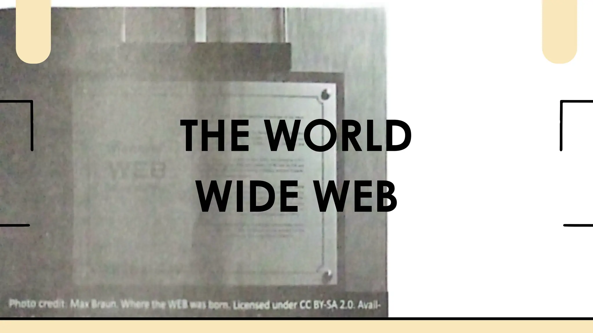 THE WORLD
WIDE WEB
 
