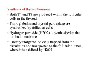 Synthesis of thyroid hormone.
• Both T4 and T3 are produced within the follicular
cells in the thyroid.
• Thyroglobulin and thyroid peroxidase are
synthesized by follicular cells.
• Hydrogen peroxide (H2O2) is synthesised at the
luminal membrane.
• Dietary inorganic iodide is trapped from the
circulation and transported to the follicular lumen,
where it is oxidized by H2O2
 