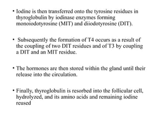 • Iodine is then transferred onto the tyrosine residues in
thyroglobulin by iodinase enzymes forming
monoiodotyrosine (MIT) and diiodotyrosine (DIT).
• Subsequently the formation of T4 occurs as a result of
the coupling of two DIT residues and of T3 by coupling
a DIT and an MIT residue.
• The hormones are then stored within the gland until their
release into the circulation.
• Finally, thyroglobulin is resorbed into the follicular cell,
hydrolyzed, and its amino acids and remaining iodine
reused
 