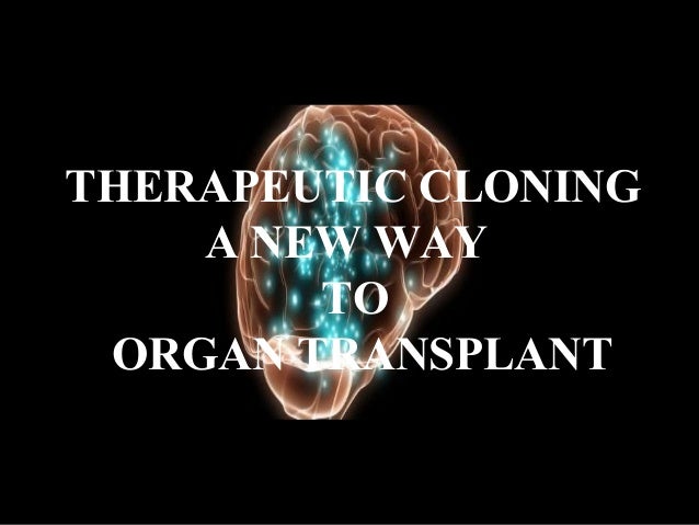 an analysis of the experimental human cloning by dr panayiotis zavos In vitro vital procedures and finally reintroduction into the same (or all these techniques consist of extracting cells (or tissues) from an analysis of the experimental human cloning by dr panayiotis zavos a living organism. an analysis of the experimental human cloning by dr panayiotis zavos In vitro vital procedures and finally reintroduction into the same (or all these techniques consist of extracting cells (or tissues) from an analysis of the experimental human cloning by dr panayiotis zavos a living organism.