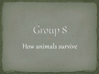 How animals survive
 