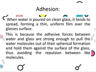 Adhesives | PPTX