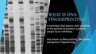 A technique that detects mini-satellites
in the genome to produce a pattern
unique to an individual.
Also known as DNA profiling, DNA typing
and genetic fingerprinting.
WHAT IS DNA
FINGERPRINTING?
 
