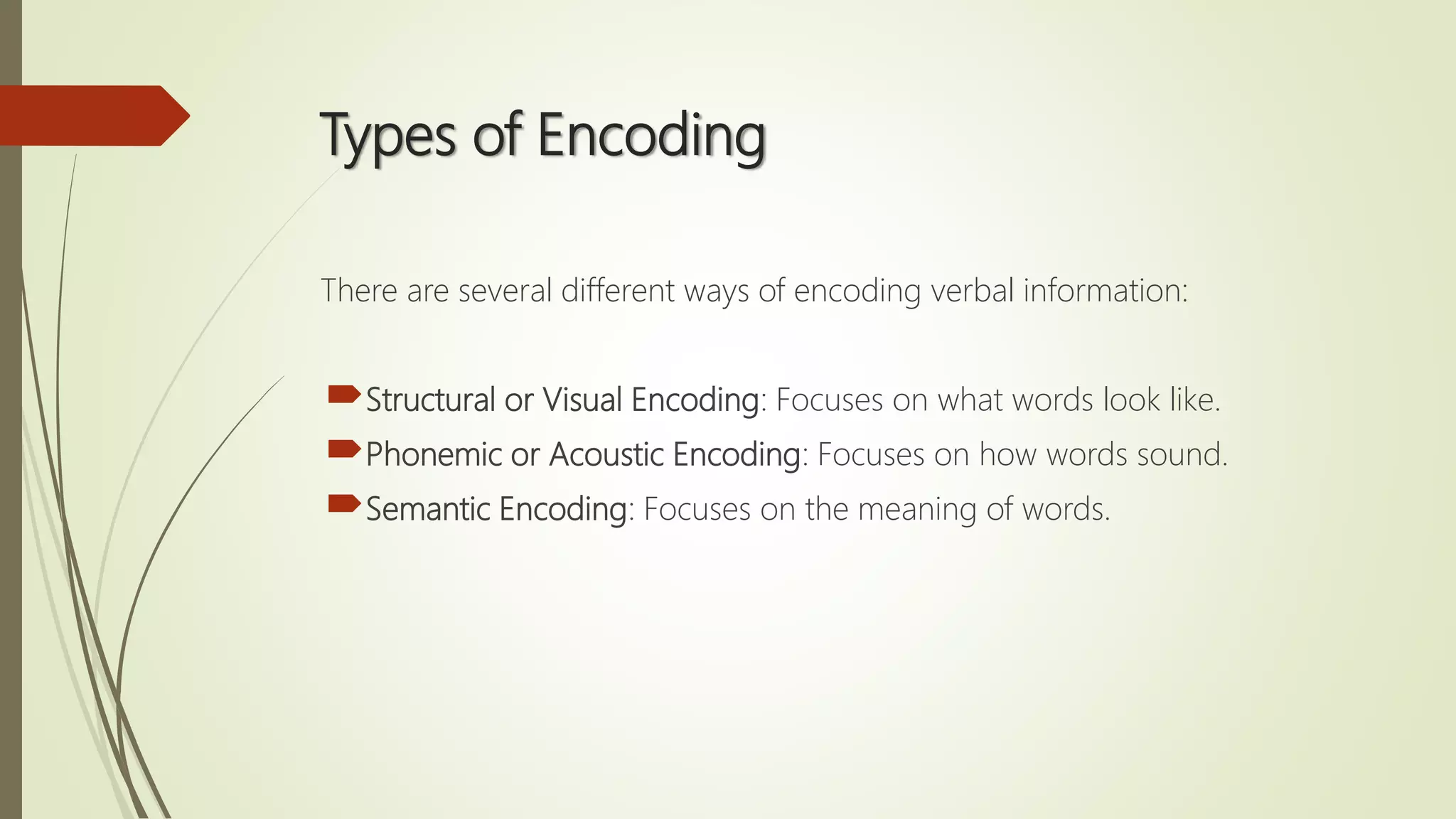 Types of Encoding
There are several different ways of encoding verbal information:
Structural or Visual Encoding: Focuses on what words look like.
Phonemic or Acoustic Encoding: Focuses on how words sound.
Semantic Encoding: Focuses on the meaning of words.
 