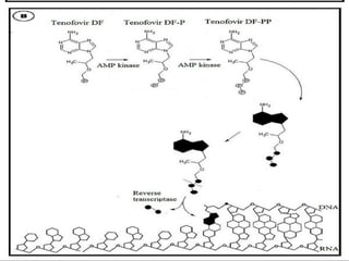 Nucleoside reversetranscriptase inhibitors PHARMAcuetics 2 new.pptx