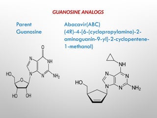 GUANOSINE ANALOGS
Parent
Guanosine
Abacavir(ABC)
(4R)-4-[6-(cyclopropylamino)-2-
aminoguanin-9-yl]-2-cyclopentene-
1-methanol)
 
