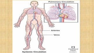 Circulation(The Internal Transport System) Group 8 pres.pptx