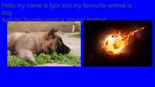 Hello my name is Igor and my favourite animal is
dog
And my favorite sport is playing football
 