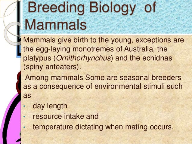 Breeding Biology And Parental Care Of Mammals